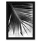 Palm Frond Ii by Debra Van Swearingen Black Framed Print 8x10 - Americanflat